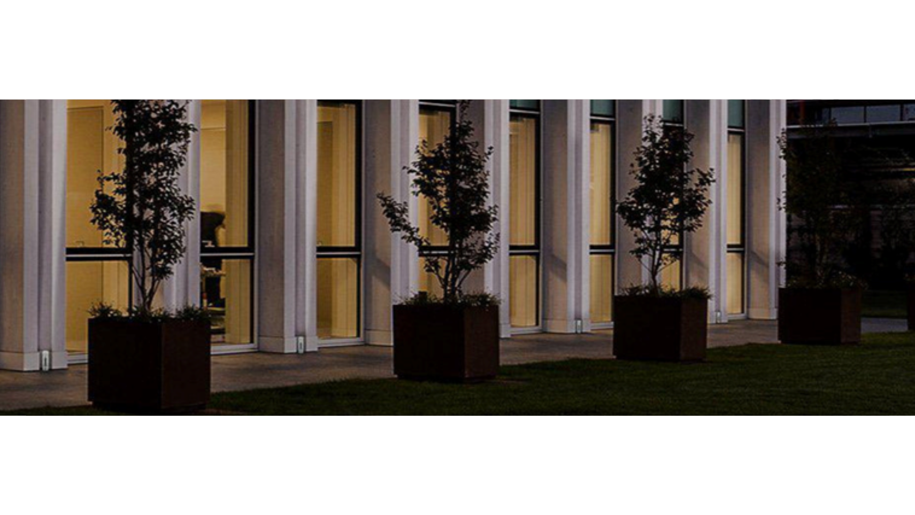 Brighten Your Landscape: Top 5 Outdoor Spotlights, Downlights, and Uplighters