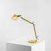 Artemide Tolomeo Micro Desk Lamp