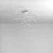 AxoLight Hoops Ceiling Light