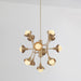 Bert Frank Eos Chandelier