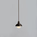Bert Frank Eos Single Pendant Light