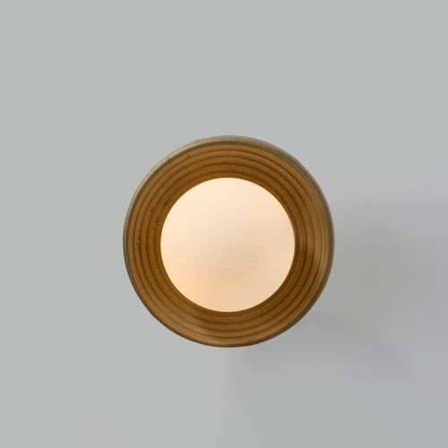 Bert Frank Eos Xtrem Wall / Ceiling Light