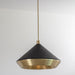 Bert Frank Shear Pendant Light
