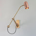 Bert Frank Stasis Wall Light
