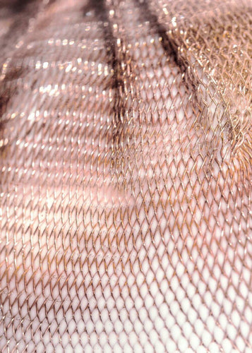 Bocci 84s Wall / Ceiling Light