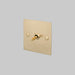 Buster + Punch 1G Intermediate Toggle Light Switch Brass