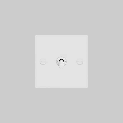 Buster + Punch 1G Intermediate Toggle Light Switch White