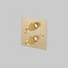 Buster + Punch 2G Dimmer Switch Brass