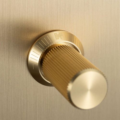 Buster + Punch 2G Dimmer Switch Brass