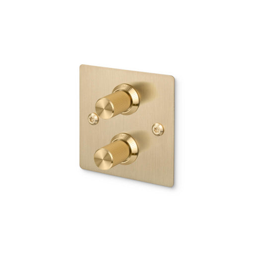 Buster + Punch 2G Dimmer Switch Brass