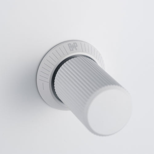 Buster + Punch 2G Dimmer Switch White