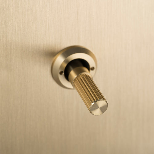 Buster + Punch 4G Toggle Light Switch Brass