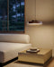 Contardi Discus Pendant Light