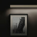 Contardi Fly Picture Wall Light