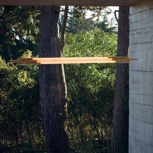 DCW Editions Org Pendant Light