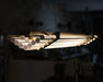 DCW Editions Seagull Suspension Light