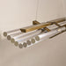 DCW Editions Seagull Suspension Light