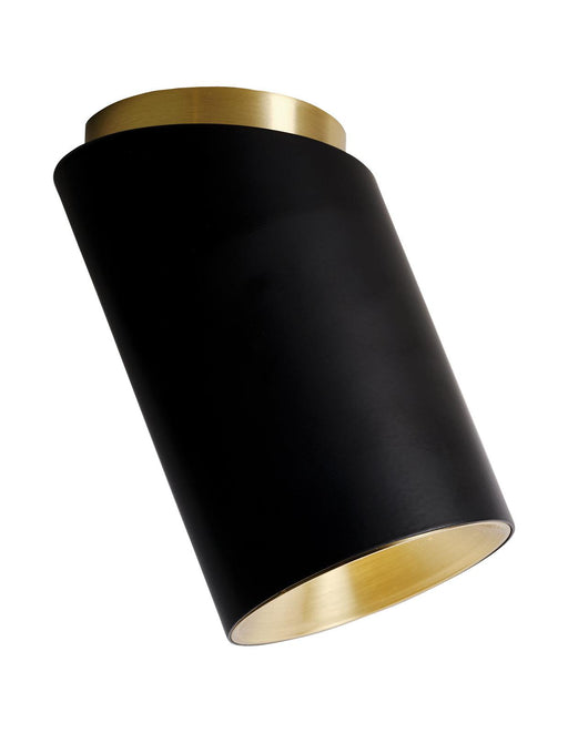 DCW Editions Tobo Diag Ceiling Light