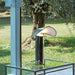 Flos Chiara Table Lamp