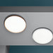 Flos Clara Ceiling / Wall Light