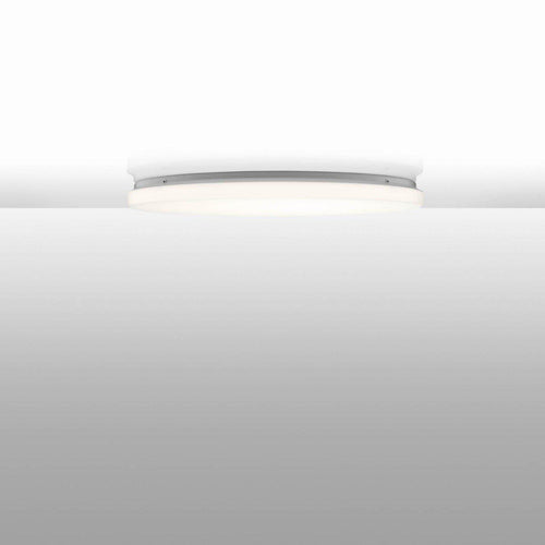 Flos Clara Ceiling / Wall Light