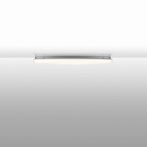 Flos Clara Ceiling / Wall Light
