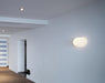Flos Glo-Ball Ceiling / Wall Light
