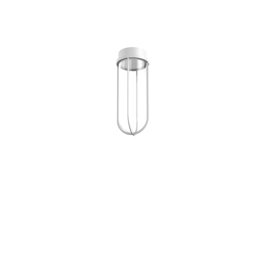 Flos In Vitro Outdoor Ceiling Light