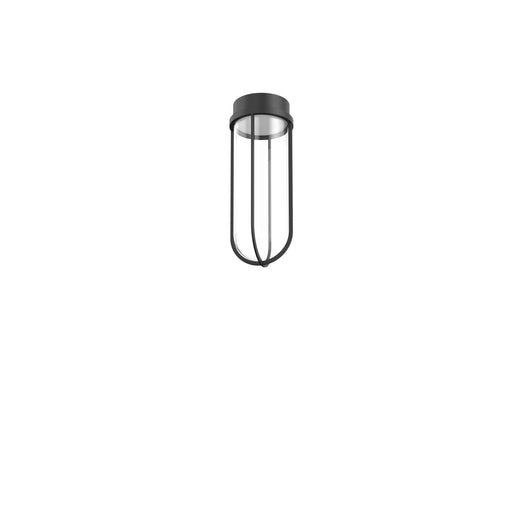 Flos In Vitro Outdoor Ceiling Light