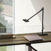 Flos Kelvin Edge Desk Lamp