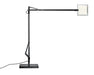 Flos Kelvin Edge Desk Lamp