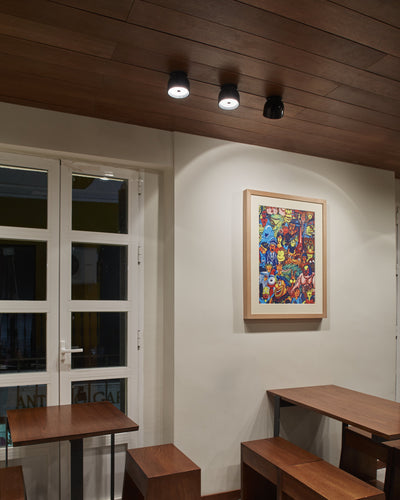 Flos Wan Ceiling / Wall Light
