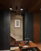 Flos Wan Ceiling / Wall Light