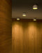 Flos Wan Ceiling / Wall Light