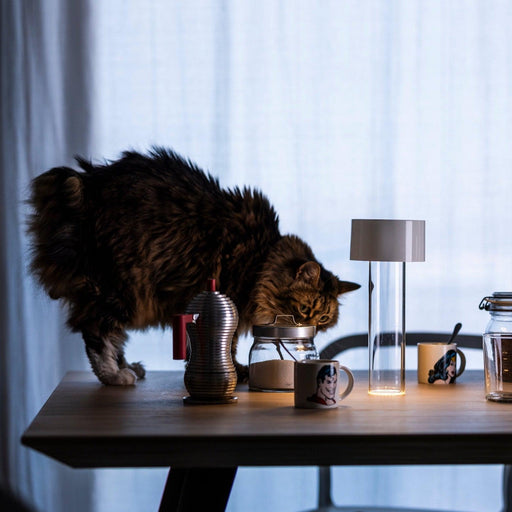 Foscarini Fleur Portable Lamp