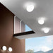 Foscarini Gregg Wall / Ceiling Light