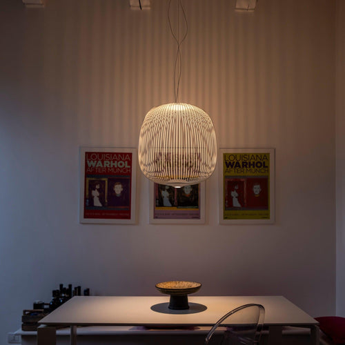 Foscarini Spokes Ambient Suspension Light