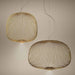 Foscarini Spokes Ambient Suspension Light