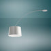 Foscarini Twiggy Ceiling Light