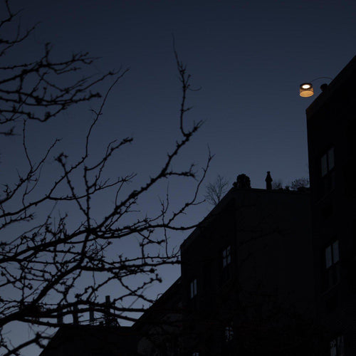 Foscarini Twiggy Grid Outdoor Floor Lamp