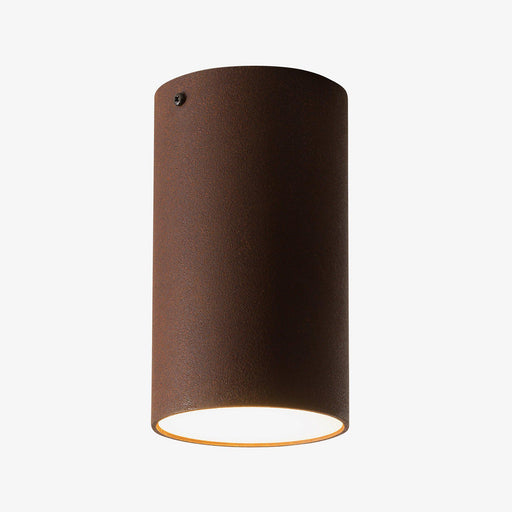Graypants Roest 20 Ceiling Light