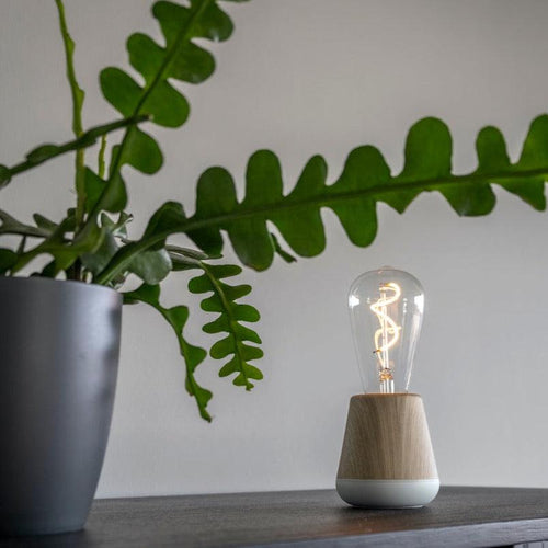 Humble One Portable Lamp