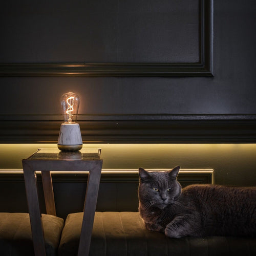 Humble One Portable Lamp