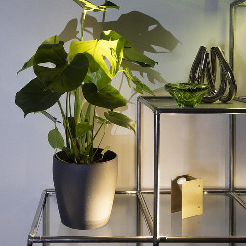 ILTI Luce Plint Battery Mini Portable Table Lamp
