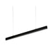 ILTI Luce Zirkol Linear Suspension Up & Down Light