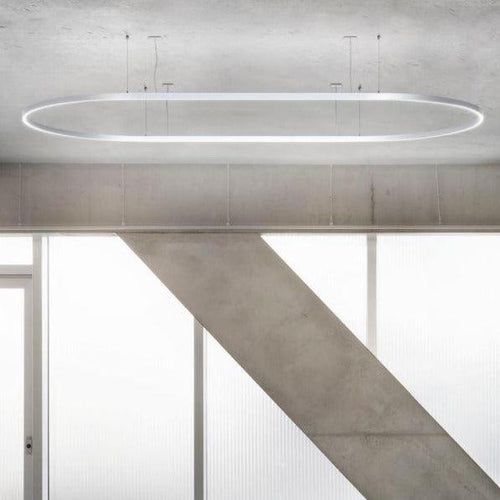 ILTI Luce Zirkol Oval Suspension Down Light