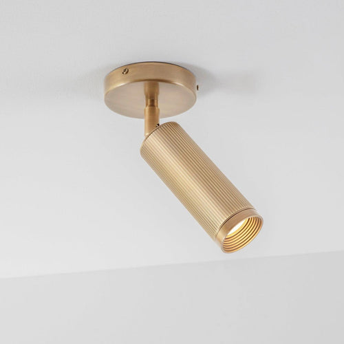 J. Adams & Co Spot Ceiling Light