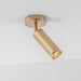 J. Adams & Co Spot Ceiling Light