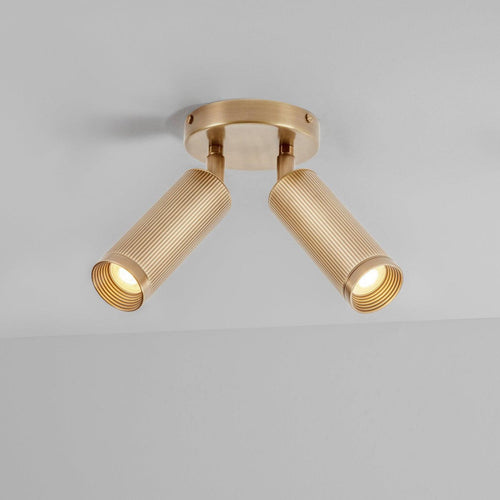 J. Adams & Co Spot Ceiling Light