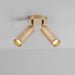 J. Adams & Co Spot Ceiling Light